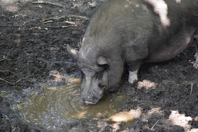 值得学习与 值得学习与
