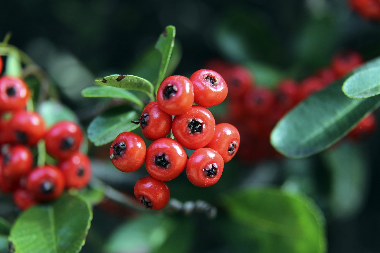 具有不可忽 具有不可忽