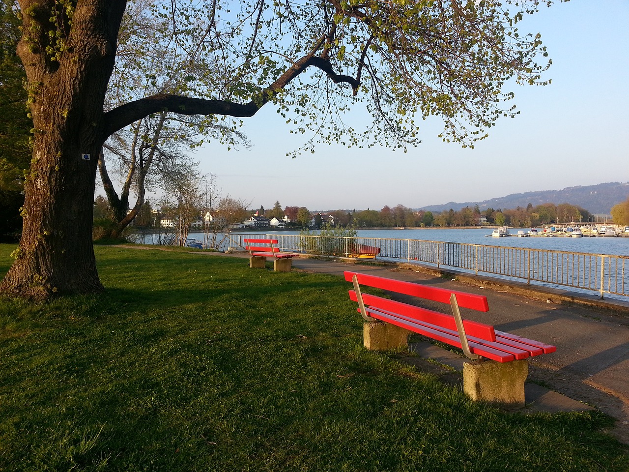 在此期间 在此期间