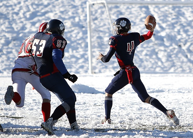 作为队中的 作为队中的