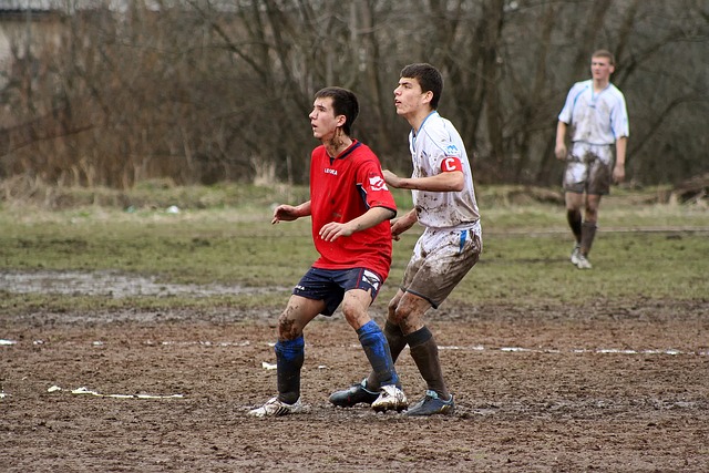 通过专业的 通过专业的